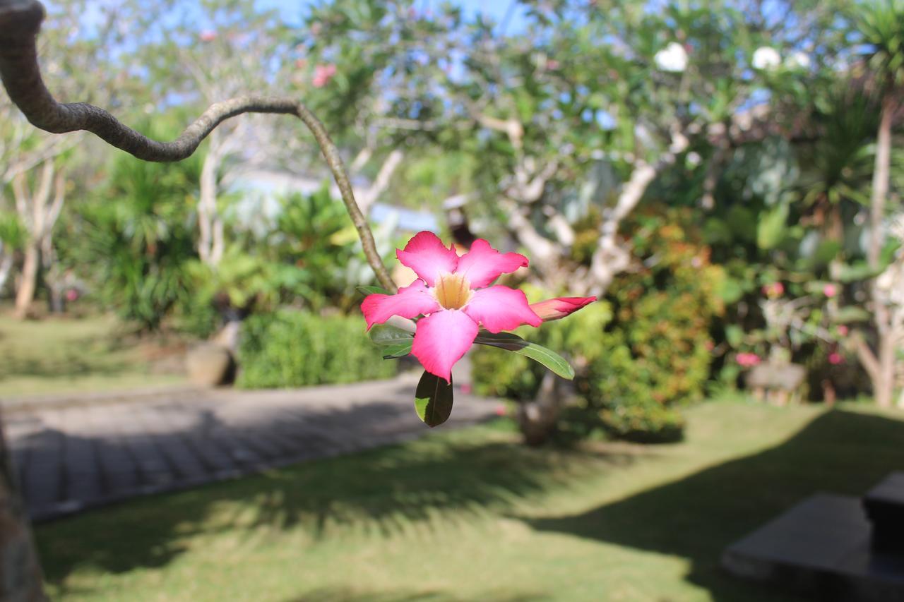 El Homestay Bali Nusa Dua  Dış mekan fotoğraf