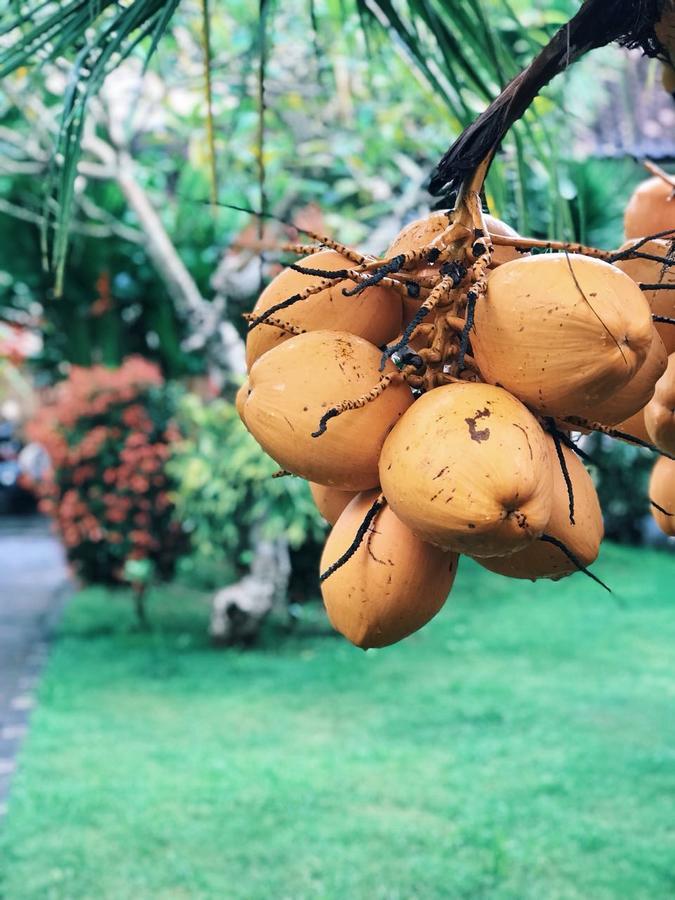 El Homestay Bali Nusa Dua  Dış mekan fotoğraf